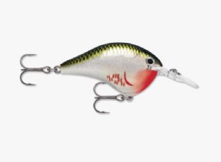 Rapala DT-06 DIVES-TO 6' Baby Bass, 5cm