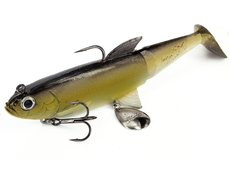 Molix Shad 120 Swimbait