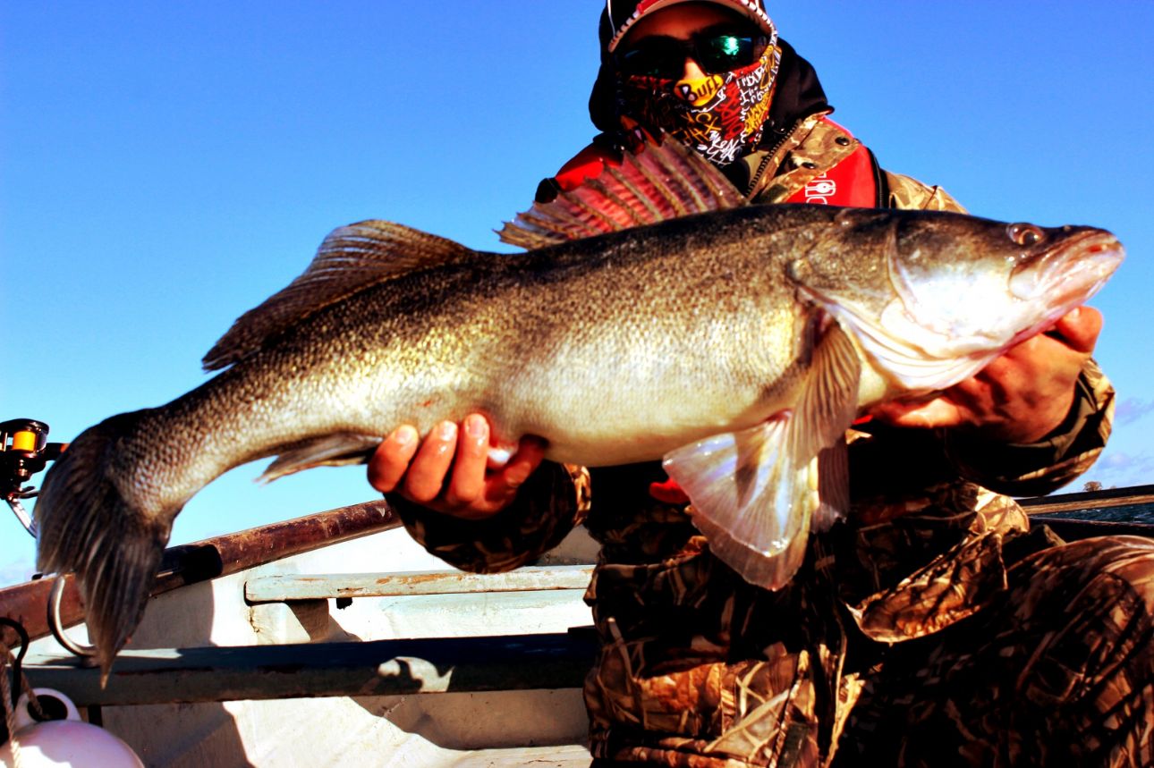 Freestyle Spro Lure Fishing Tackle Rod Protector Predator Gear Pike Perch Trout 