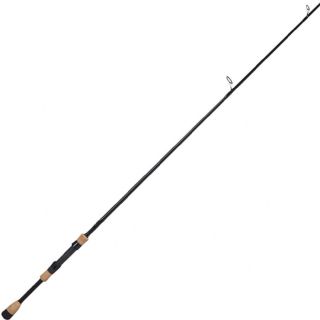 best carp rods 2021