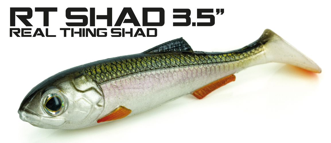 Molix Real Thing Shad 3.5 inch Lures from Predator Tackle