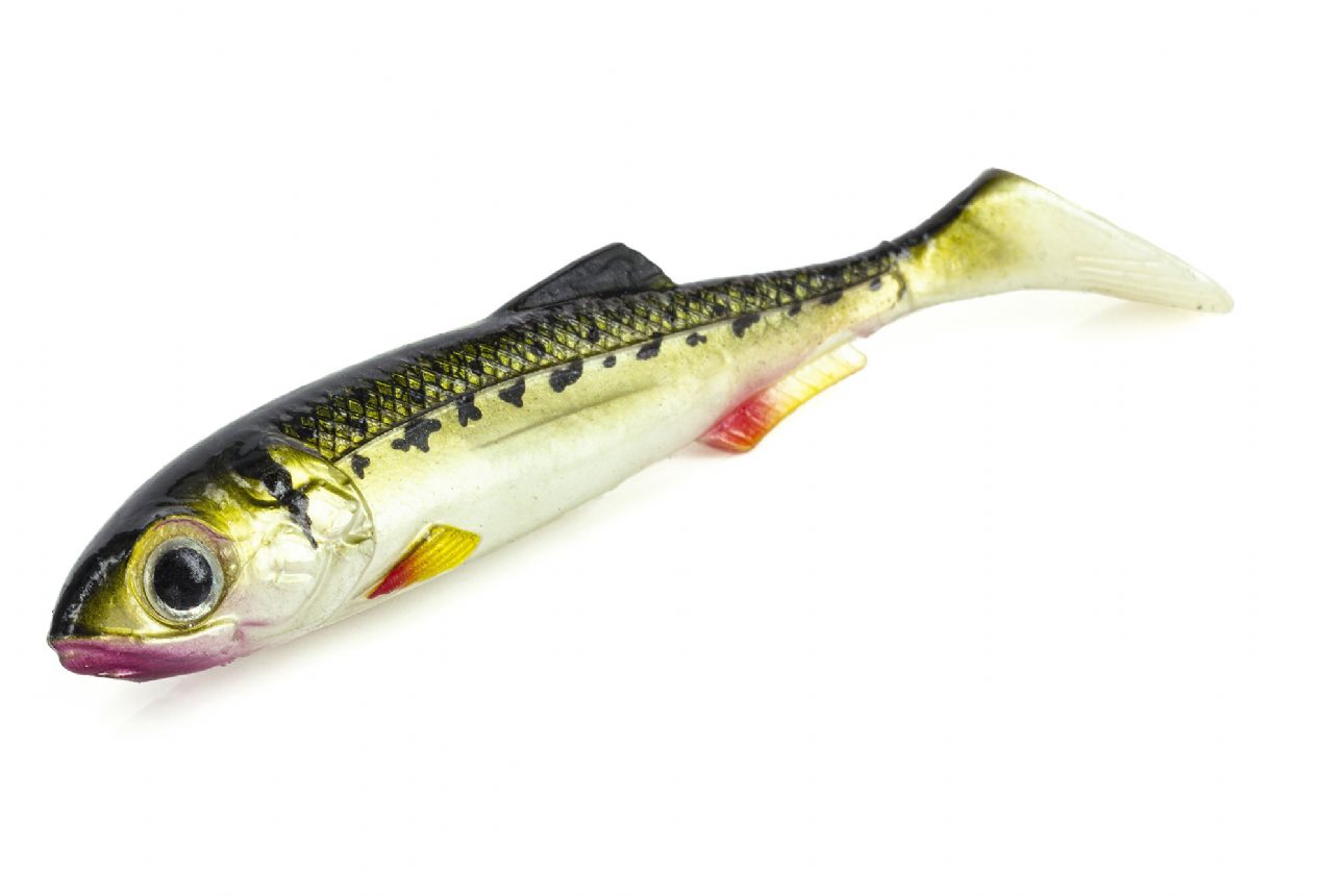 Molix Real Thing Shad 2.8 inch Lures from Predator Tackle