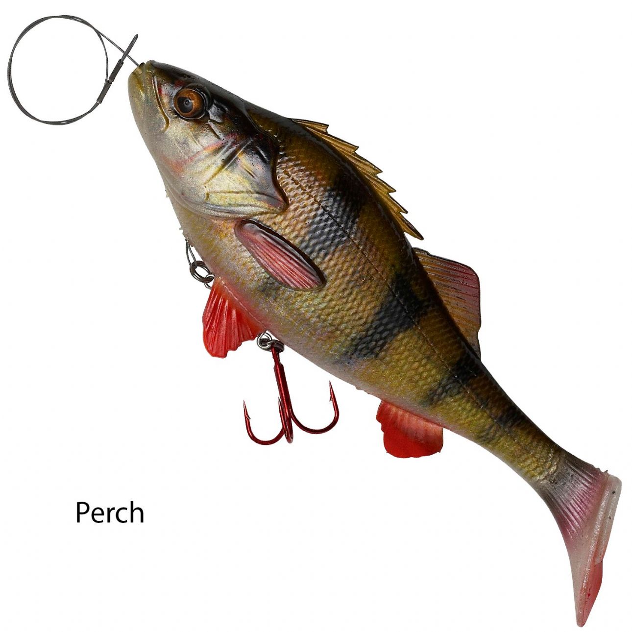 4d perch